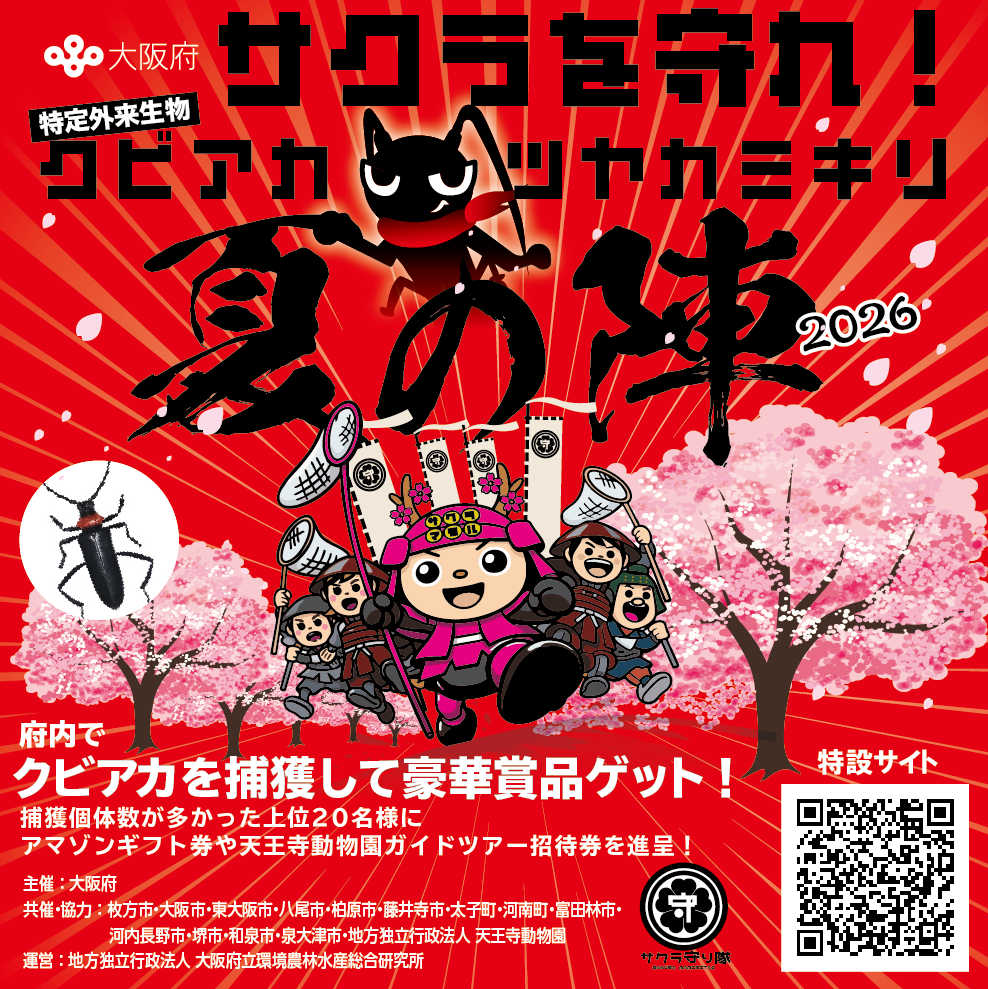 サクラを守れ！　クビアカツヤカミキリ【夏の陣】