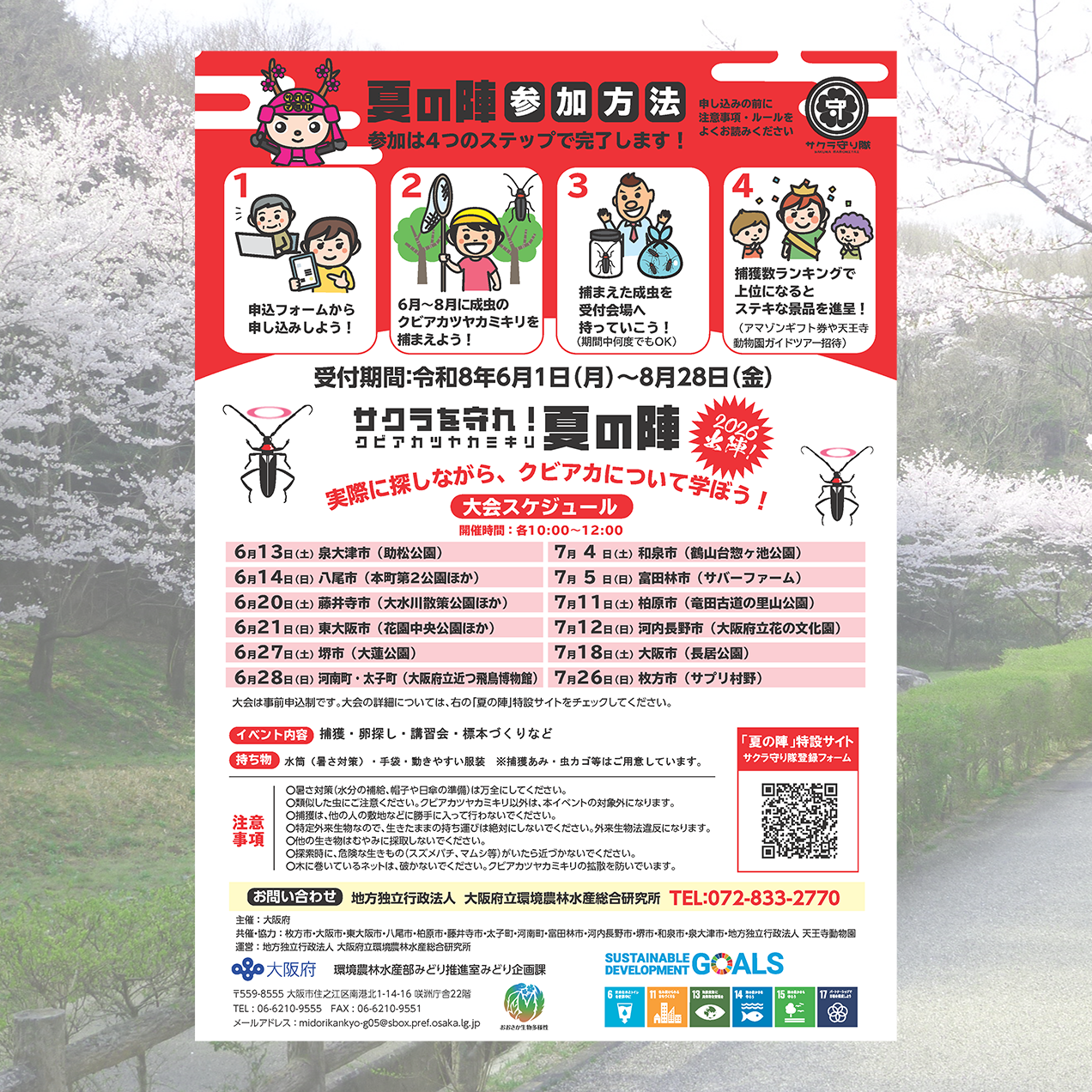 サクラを守れ！　クビアカツヤカミキリ【夏の陣】